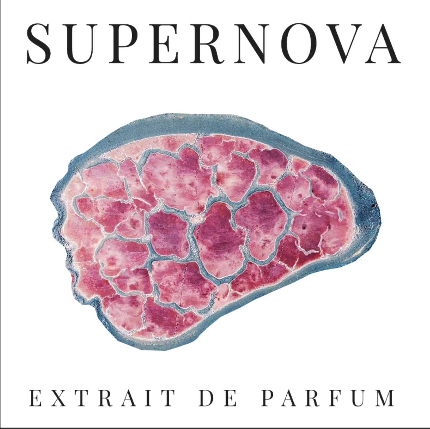SUPERNOVA